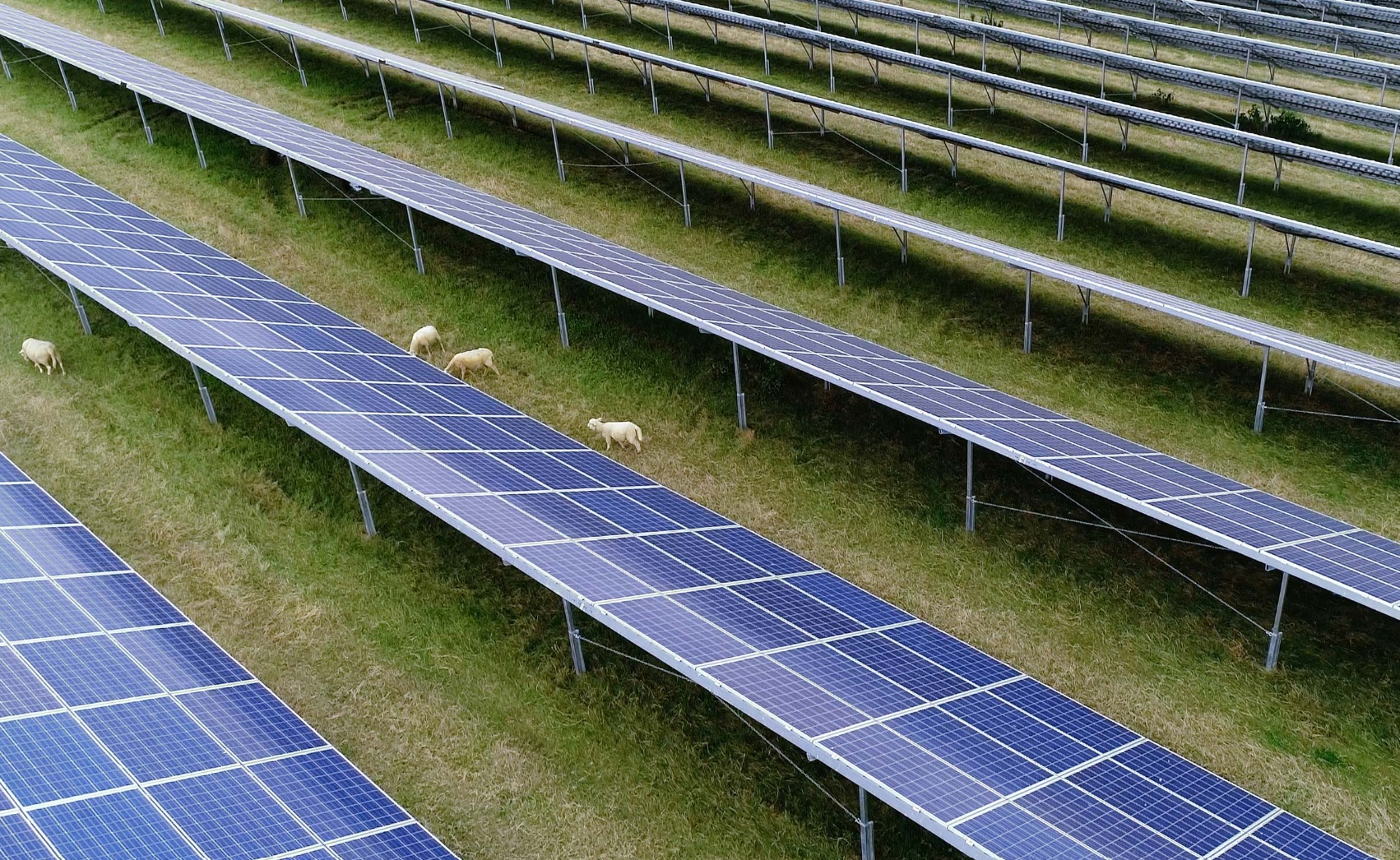 Appeal against Burnett solar farm plan rejection - Keynsham Voice